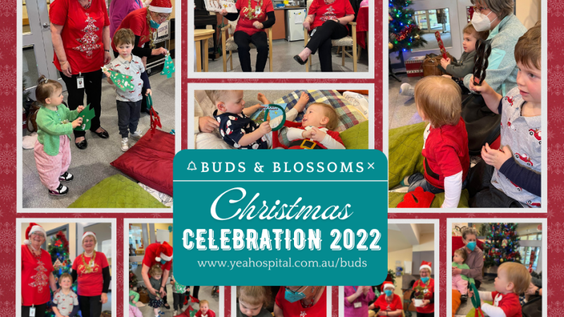 Buds 22 Christmas Photo Collage Facebook Post
